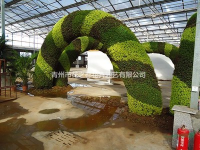 青州五色草造型,山东五色草造型,绿雕造型,立体花坛